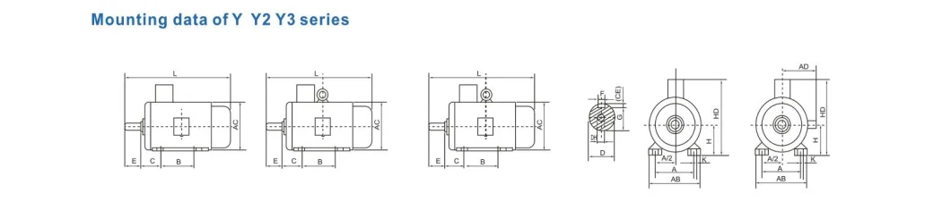 Yc Single Phase Capacitor Start Induction Electric Motor 0.5HP 1HP 2HP 3HP 5HP 220V AC Motor