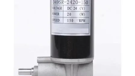Hochwertige, langlebige, bürstenlose BLDC-Elektromotoren für Haartrockner/Fußmassagegeräte