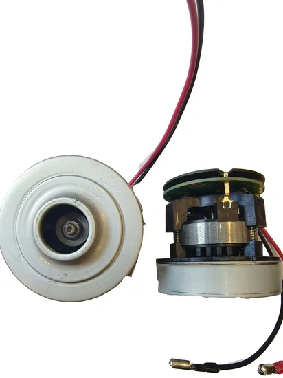 S65-0108c Bürstenloser Gleichstrom-Elektromotor für Staubsauger