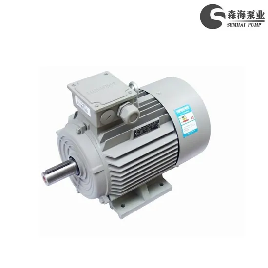 Hocheffizienter 3-Phasen-Wechselstrom-Elektromotor nach IEC-Norm, 50 Hz/60 Hz, Hoch-/Niederspannung