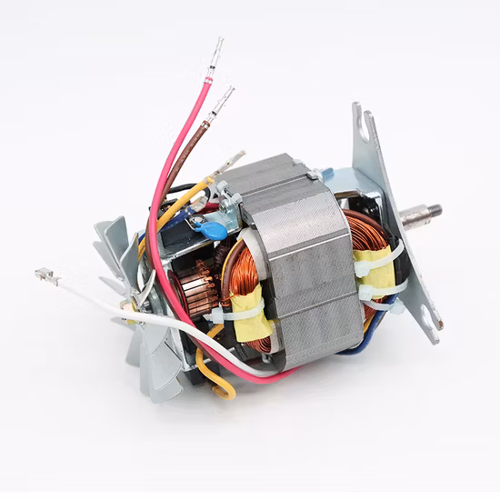 Fabrik-Universal-Elektro-200-Watt-Wechselstrommotor für Mixer/Haartrockner
