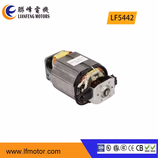 Hochwertiger elektrischer Wechselstrom-Universalmotor für Haartrockner