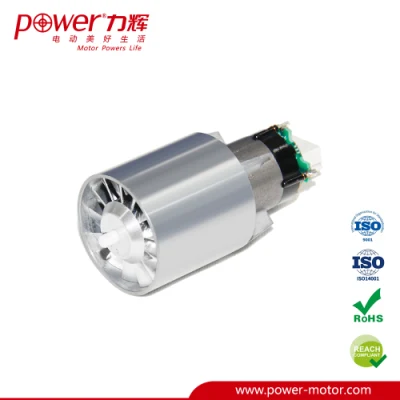 220 V Hochgeschwindigkeits-Hochleistungs-Bürstenloser Gleichstrommotor Haartrockner Elektrischer BLDC-Motor